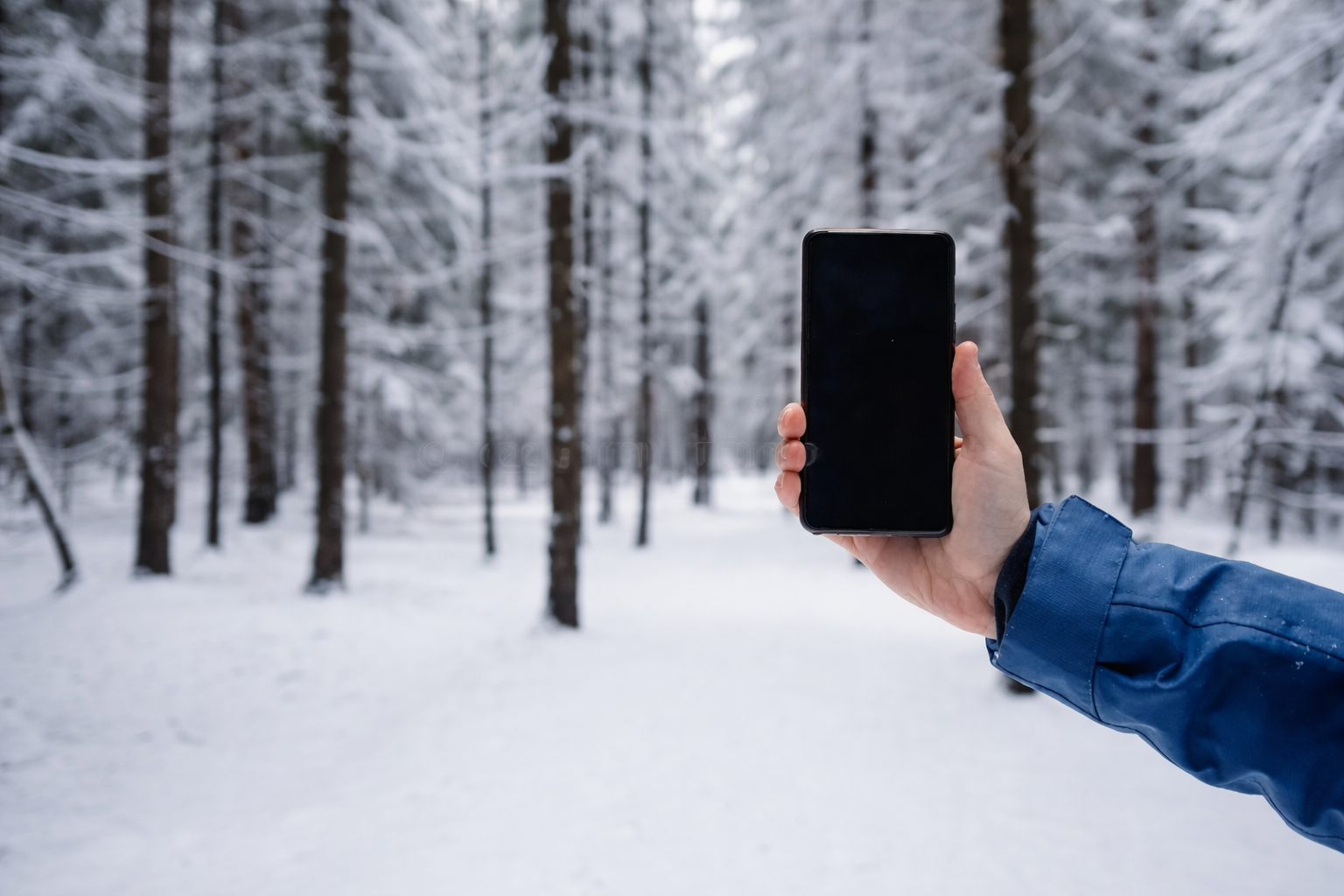 Are Your Leads Frozen?