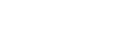 Chirp™ Logo
